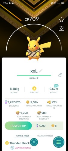 Pokemon xxl batik pikachu - go,