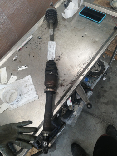 8200378880 semialbero ant - 8200378880,