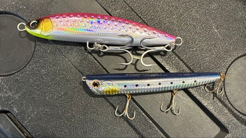 Daiwa saltiga raw ride - raw,