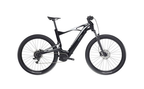 Bianchi vertic type - bianchi,