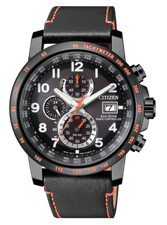 Citizen Men's Radio Controlled