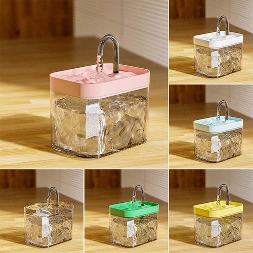 Fontana acqua animali gatto - acqua,