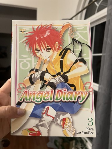 Diario angelo vol kara - 3, lee