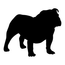 Adesivo Bulldog vinile