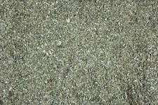 1000Erbe Foglie di Nocciola