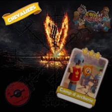 camp d'archerie x 1 carte coin