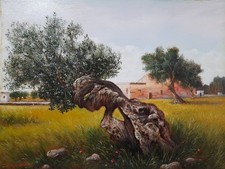 Quadro "Ulivo" Olio Su Tela