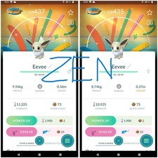 Pokémon - Shiny Eevee Special