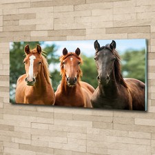 Quadro immagine arte da parete