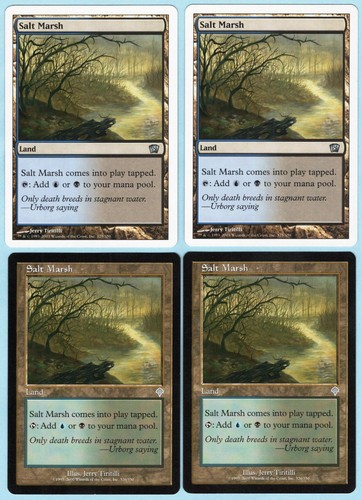 Salt marsh set - salt, vari