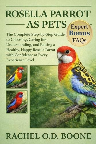 Rosella parrot pets the - rosella, as