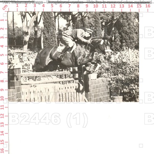 B2446 ippica sport - sport, cavalli