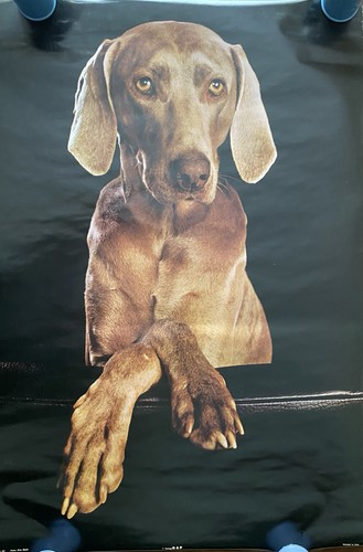 Poster arte vintage - , cane