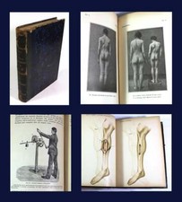 1895 ARCHIVIO