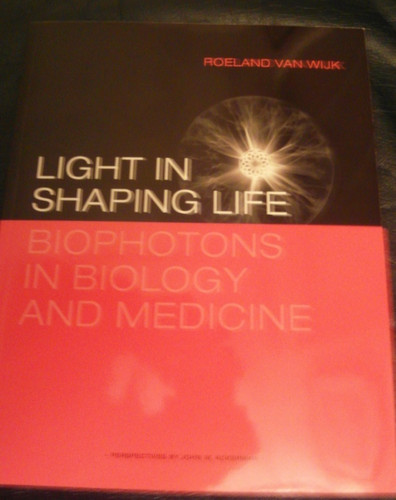 Light shaping life - in,