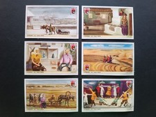 Caffè LAVAZZA Torino 1951 