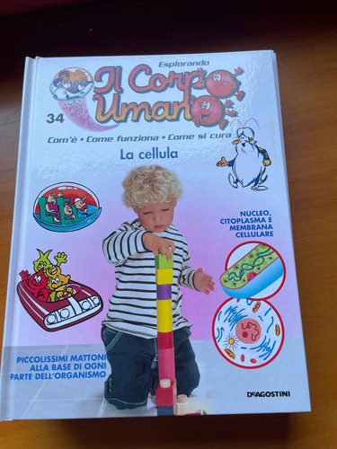Esplorando corpo umano - il, n