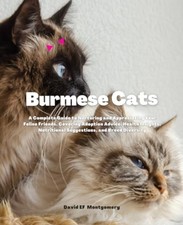 Burmese Cats A Complete Guide