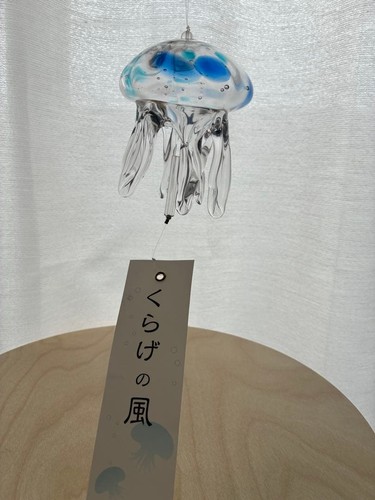Taku glass jellyfish - taku,