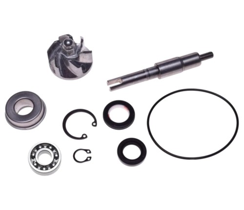 Kit riparazione pompa acqua