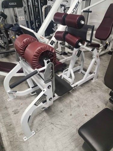 Hammer strength ghd ghr - hammer,