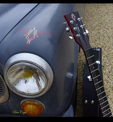 Custom pinstriping decal - , hot