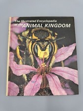 Vintage 1971 The Illustrated