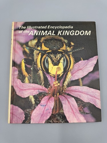 Vintage 1971 the illustrated - vintage,