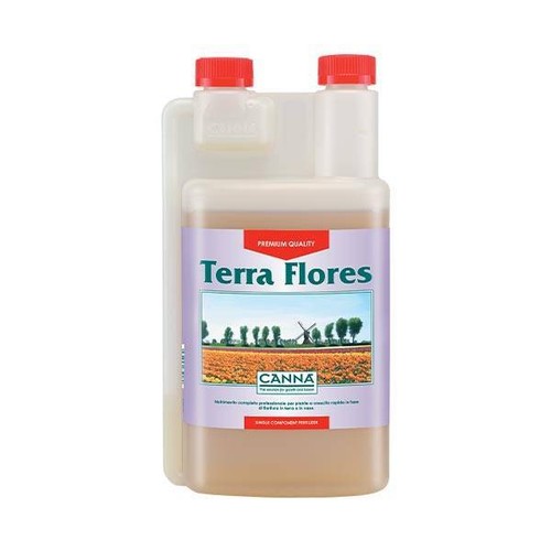 Canna terra flores - canna,