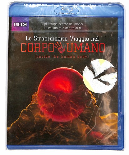 Ebond straordinario viaggio - ebond,