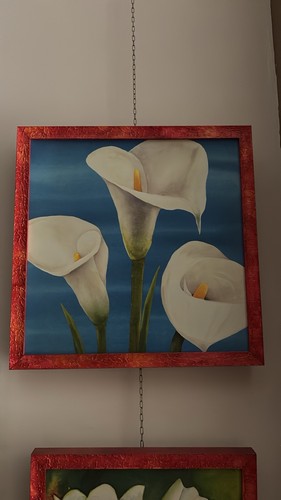 Coppia quadri floreali - quadri,