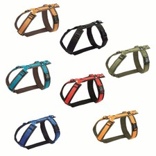 Pettorina Annyx Fun -