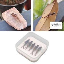 5x Kit Di Mosche Per Pesca A
