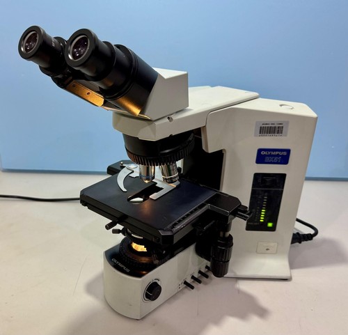 Olympus bx51tf microscopio - olympus, da