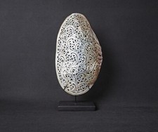 Cozze Conchiglia Artiglio