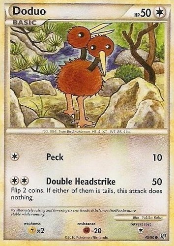 Doduo comune - doduo,