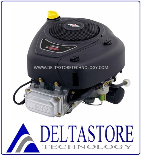 Motore briggs stratton - motore,