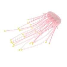  Corallo artificiale in