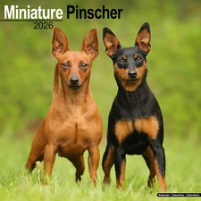 Calendario Miniatura Pinscher 2026 | Regalo Razza Cane Parete 15% SCONTO ORDINI MULTIPLI