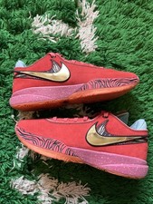 Campione LeBron 20 WNBA All