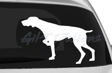 German Shorthaired Pointer #2