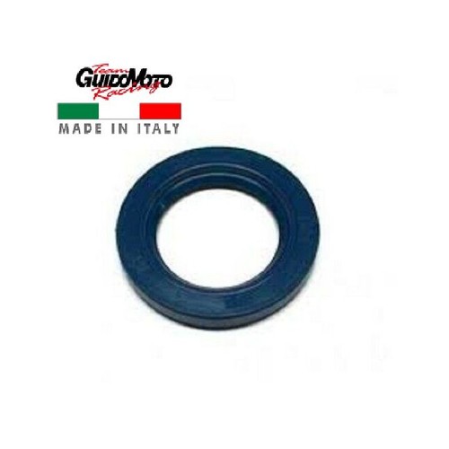 Paraolio x 7 asse - x,