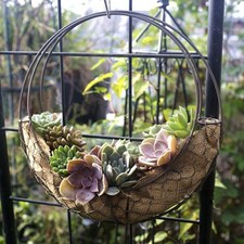 Il portavaso in filo di ferro