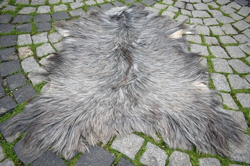 Pelliccia pelle capra - di, di