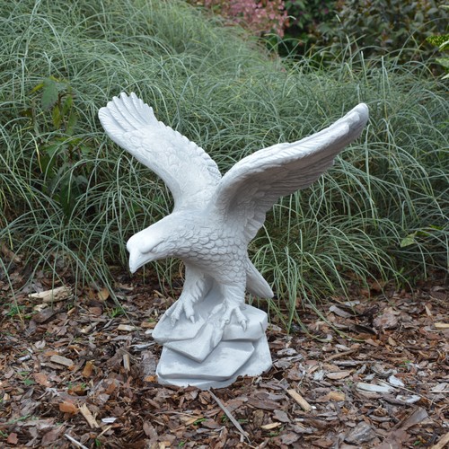 Aquila aquila reale uccellino