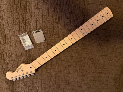 Collo squier paranormal - collo,