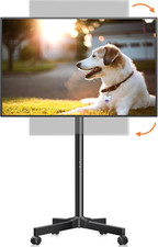 Supporto TV Mobile Su Ruote