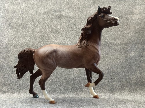Breyer 2026 custom traditional - custom,