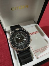 Citizen Wingman Promaster