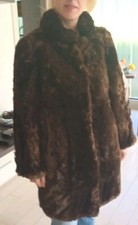 Pelliccia Di Castoro. Sartoria Annabella Pavia